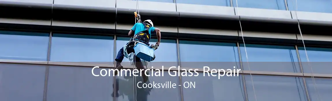 Commercial Glass Repair Cooksville - ON