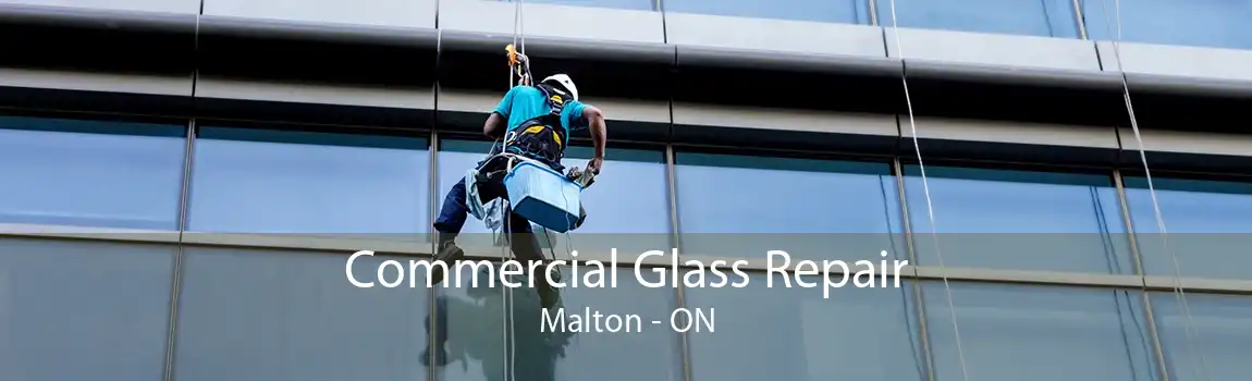 Commercial Glass Repair Malton - ON