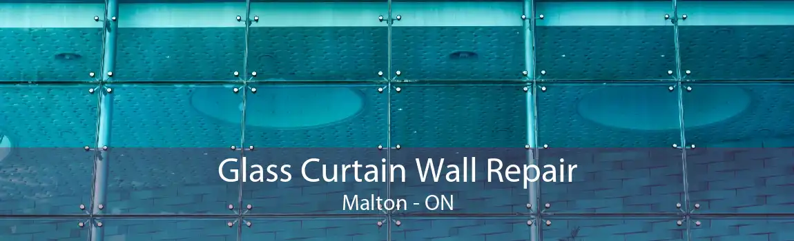 Glass Curtain Wall Repair Malton - ON