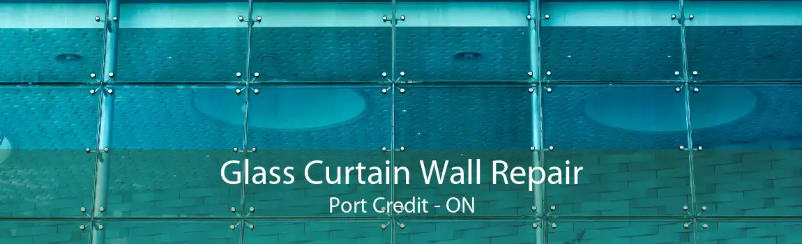 Glass Curtain Wall Repair Port Credit - ON