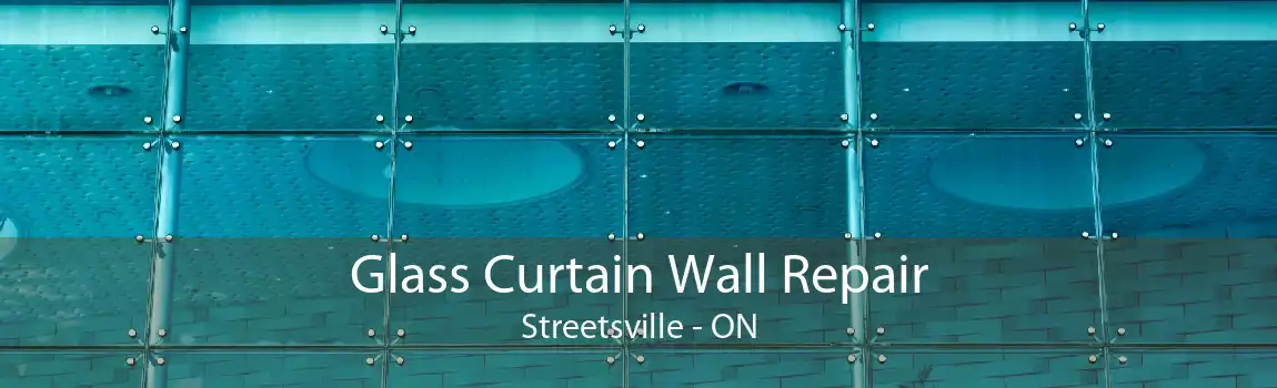 Glass Curtain Wall Repair Streetsville - ON