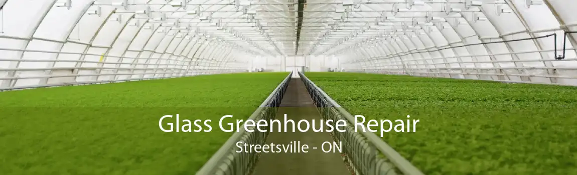Glass Greenhouse Repair Streetsville - ON