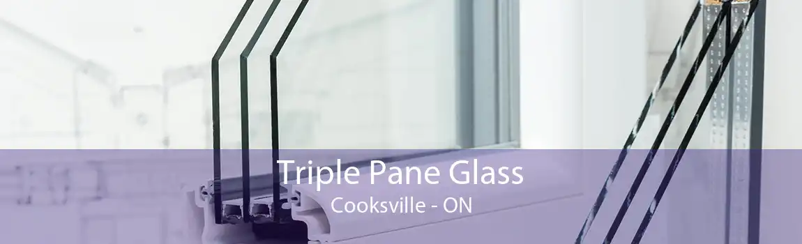 Triple Pane Glass Cooksville - ON