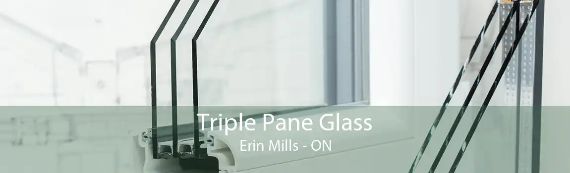 Triple Pane Glass Erin Mills - ON