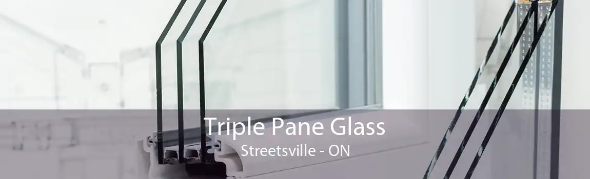 Triple Pane Glass Streetsville - ON