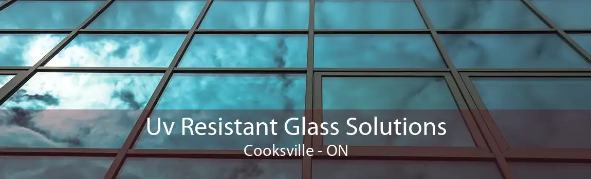 Uv Resistant Glass Solutions Cooksville - ON