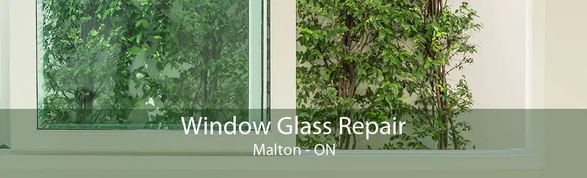 Window Glass Repair Malton - ON