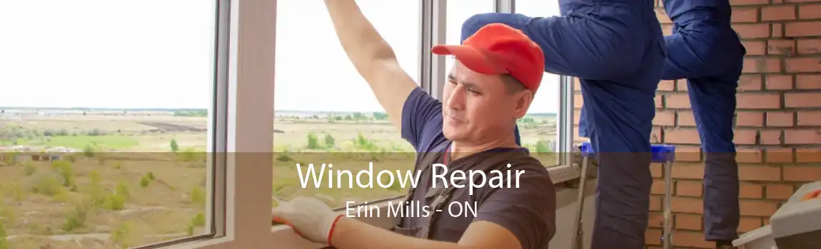 Window Repair Erin Mills - ON