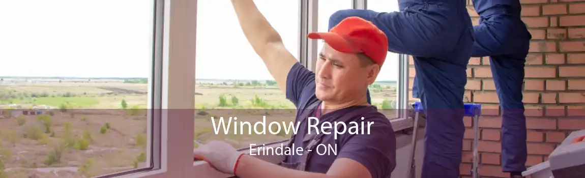 Window Repair Erindale - ON