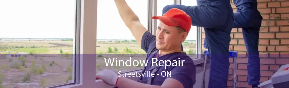 Window Repair Streetsville - ON