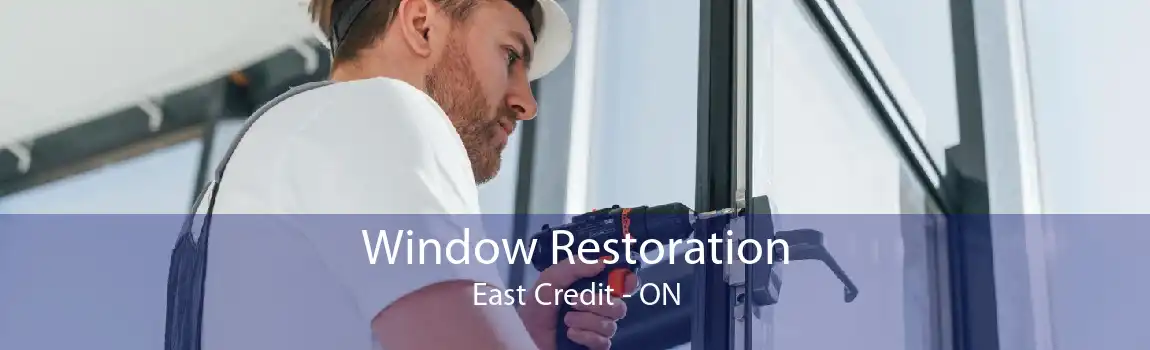 Window Restoration East Credit - ON