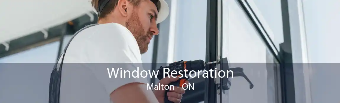Window Restoration Malton - ON