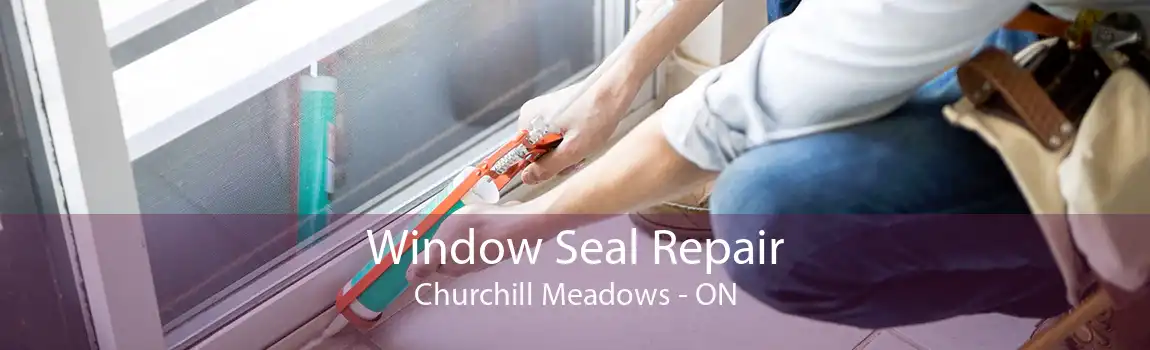 Window Seal Repair Churchill Meadows - ON