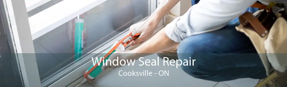 Window Seal Repair Cooksville - ON