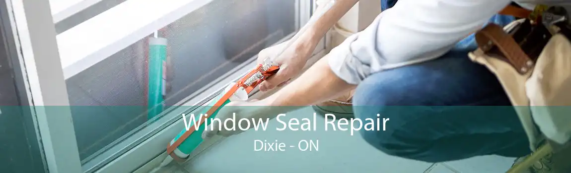 Window Seal Repair Dixie - ON