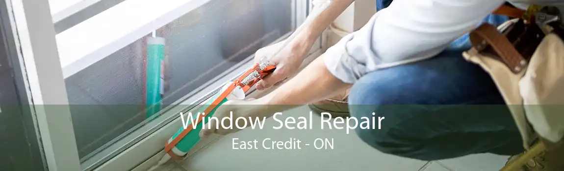 Window Seal Repair East Credit - ON