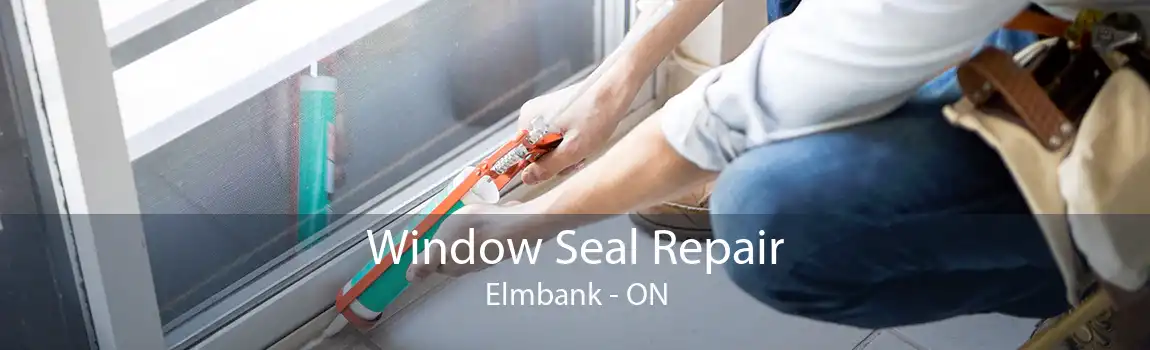 Window Seal Repair Elmbank - ON