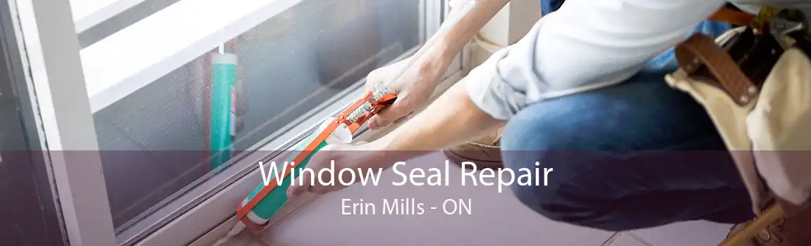 Window Seal Repair Erin Mills - ON