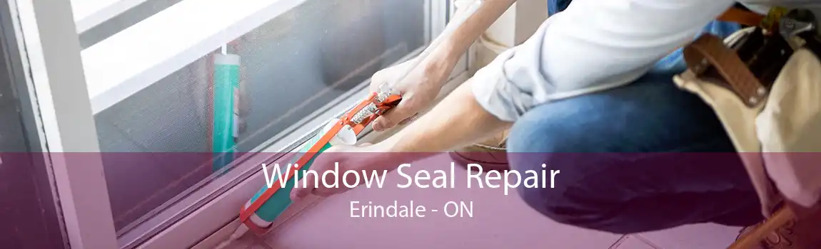 Window Seal Repair Erindale - ON