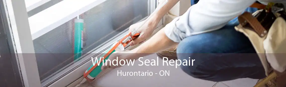Window Seal Repair Hurontario - ON