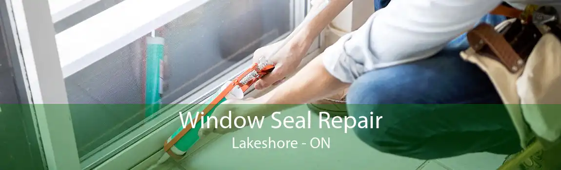 Window Seal Repair Lakeshore - ON