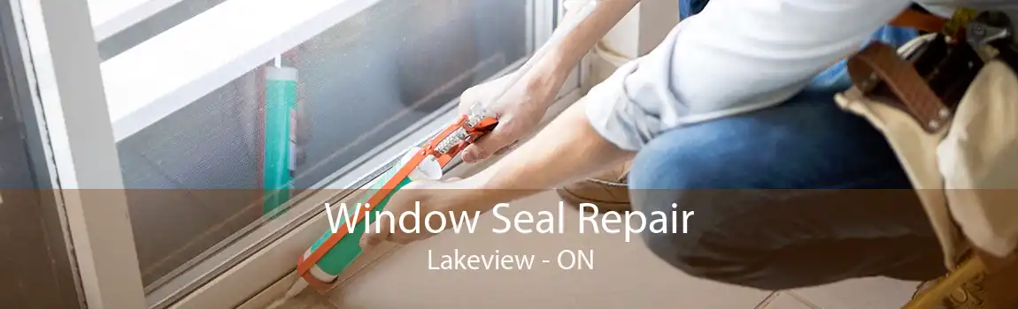 Window Seal Repair Lakeview - ON