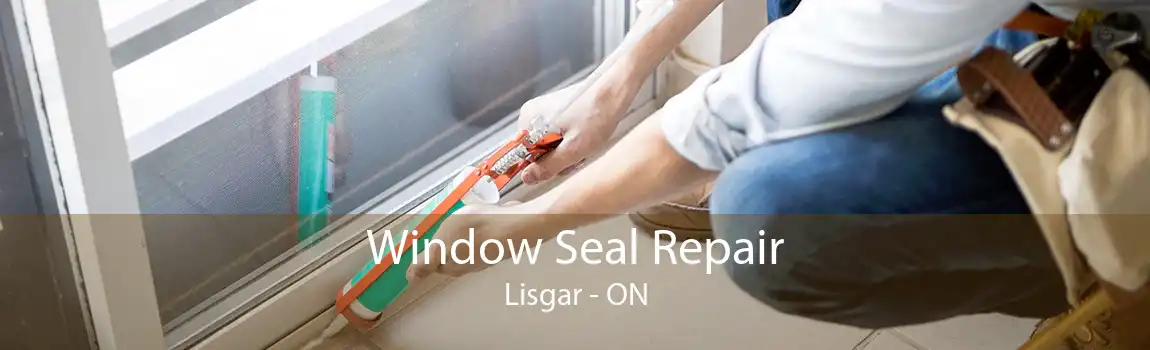 Window Seal Repair Lisgar - ON
