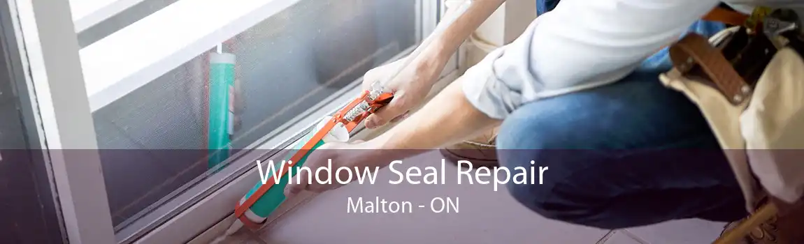 Window Seal Repair Malton - ON