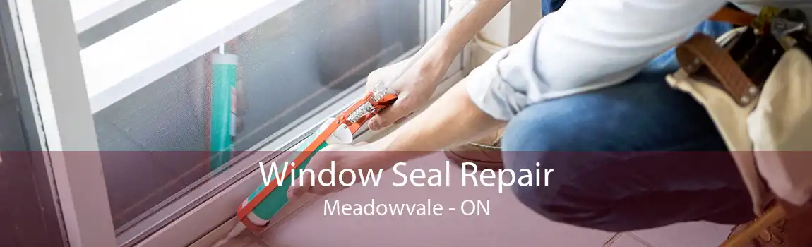 Window Seal Repair Meadowvale - ON