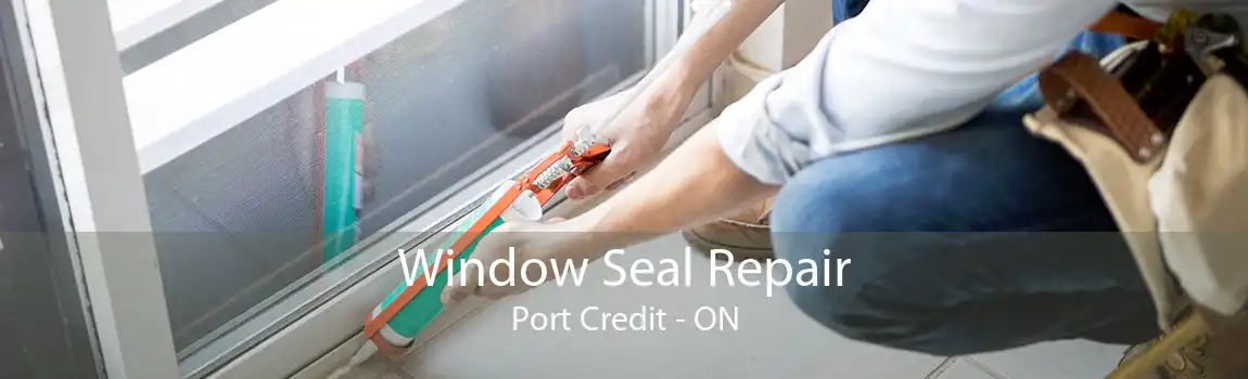 Window Seal Repair Port Credit - ON