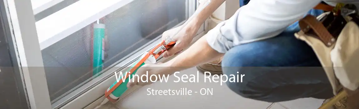 Window Seal Repair Streetsville - ON