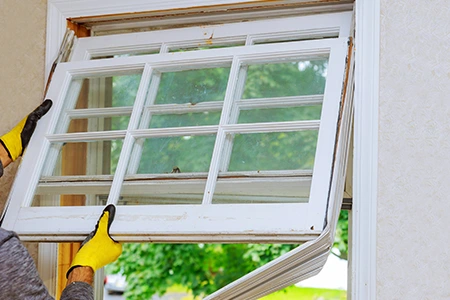 Window Replacement in Dixie